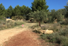 Foto 8