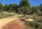 Non-developable land for sale on Parcela nº 343 del Poligono nº 3 de Arnachares, Alborache, ref: TR111343 photo