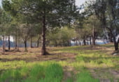Non-developable land for sale on Parcela nº 343 del Poligono nº 3 de Arnachares, Alborache, ref: TR111343 photo