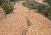 Non-developable land for sale on Parcela nº 343 del Poligono nº 3 de Arnachares, Alborache, ref: TR111343 photo