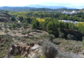 Non-developable land for sale on Parcela nº 343 del Poligono nº 3 de Arnachares, Alborache, ref: TR111343 photo