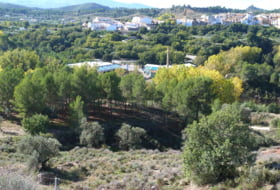 Foto 14