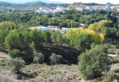 Non-developable land for sale on Parcela nº 343 del Poligono nº 3 de Arnachares, Alborache, ref: TR111343 photo