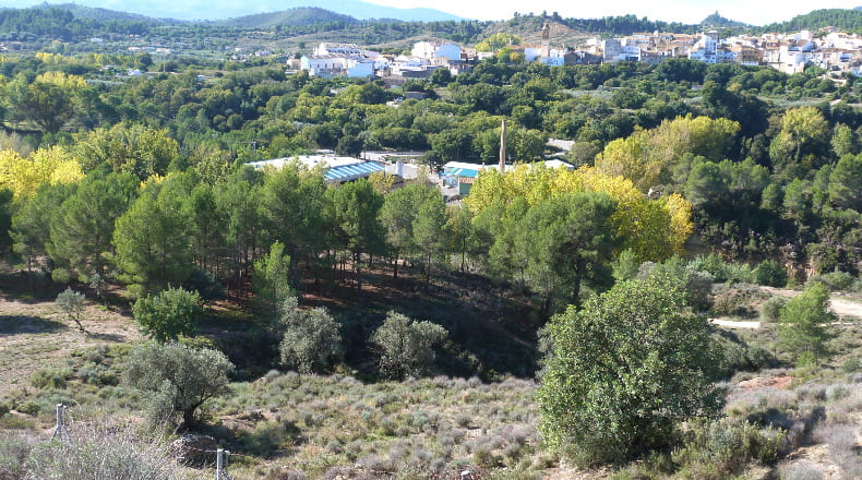 Valencia - Alborache - 31315m2