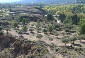 Foto 15