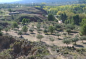 Non-developable land for sale on Parcela nº 343 del Poligono nº 3 de Arnachares, Alborache, ref: TR111343 photo