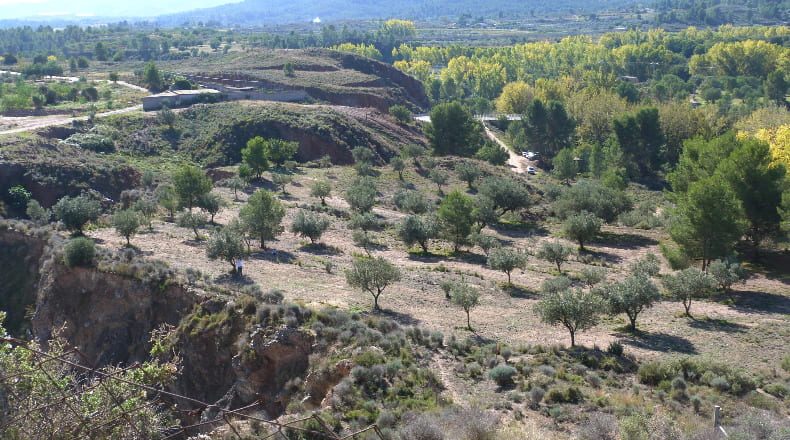 Valencia - Alborache - 31315m2