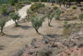 Foto 17