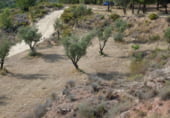 Non-developable land for sale on Parcela nº 343 del Poligono nº 3 de Arnachares, Alborache, ref: TR111343 photo