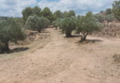 Non-developable land for sale on Parcela nº 343 del Poligono nº 3 de Arnachares, Alborache, ref: TR111343 photo