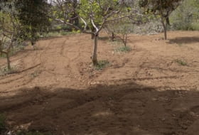 Maella 3000&nbsp;м²
