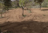 Земельный участок на продажу в городе Maella Фото