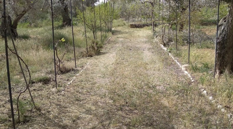 Zaragoza - Maella - 3000m2