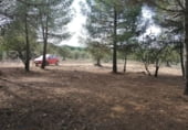Terreny en venda a la CV-804, Biar, ref.: TR111361 foto