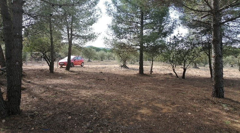 Alicante - Biar - 4120m2
