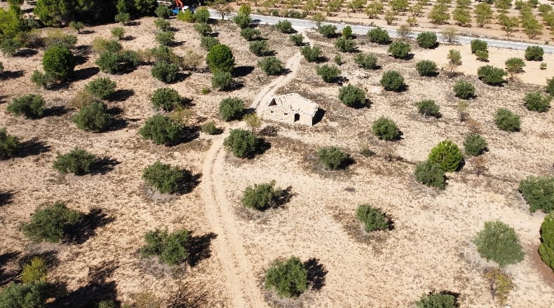 Alicante - Biar - 4120m2