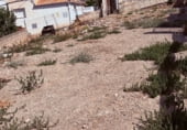 Land suitable for development for sale on Calle Luna, Cájar, ref: TR111364 photo