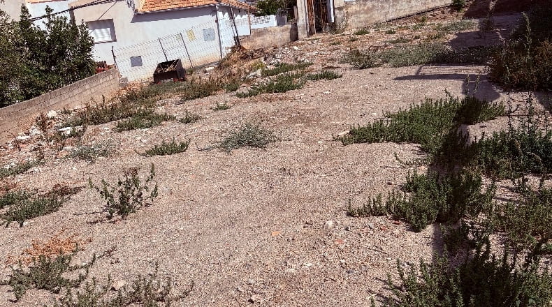Granada - Cájar - 393m2