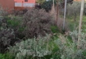 Urban land for sale on Calle El Berol, Tejeda, ref: TR111374 photo