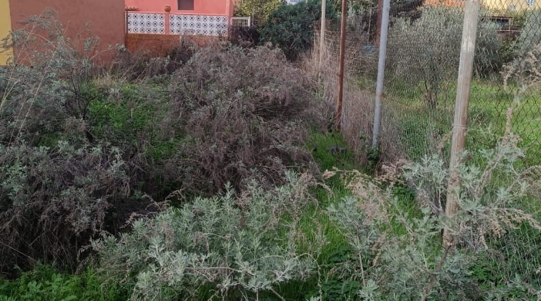 Las Palmas - Tejeda - 300m2