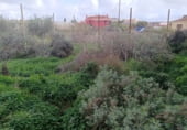 Urban land for sale on Calle El Berol, Tejeda, ref: TR111374 photo
