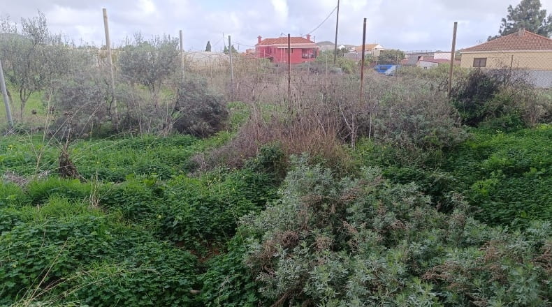 Las Palmas - Tejeda - 300m2