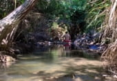 Non-developable land for sale on Aldea. Arroyo Molinos, Hinojares, ref: TR111371 photo