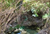 Non-developable land for sale on Aldea. Arroyo Molinos, Hinojares, ref: TR111371 photo