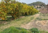 Загородный дом с участком на продажу в городе Benifallet Фото