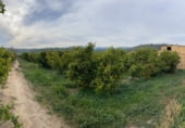 Загородный дом с участком на продажу в городе Benifallet Фото