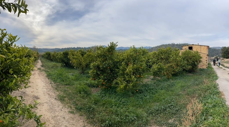 Tarragona - Benifallet - 7300m2