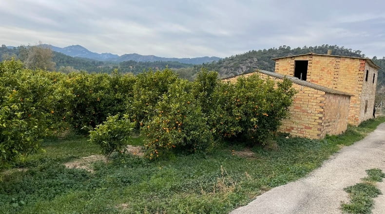 Tarragona - Benifallet - 7300m2