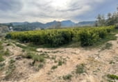 Загородный дом с участком на продажу в городе Benifallet Фото
