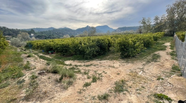 Tarragona - Benifallet - 7300m2