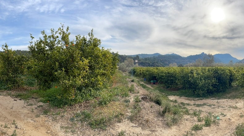 Tarragona - Benifallet - 7300m2