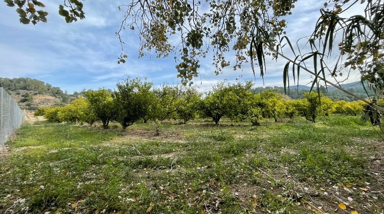 Tarragona - Benifallet - 7300m2