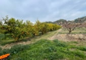 Загородный дом с участком на продажу в городе Benifallet Фото