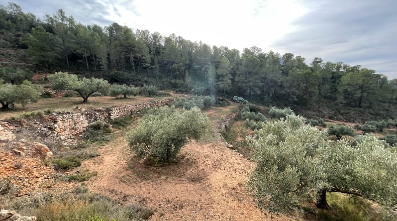 Tarragona - Benifallet - 40000m2