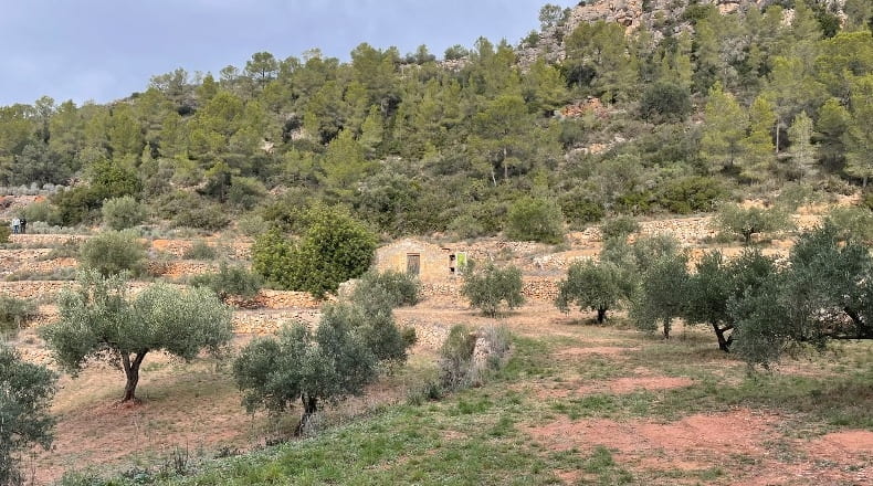 Tarragona - Benifallet - 40000m2