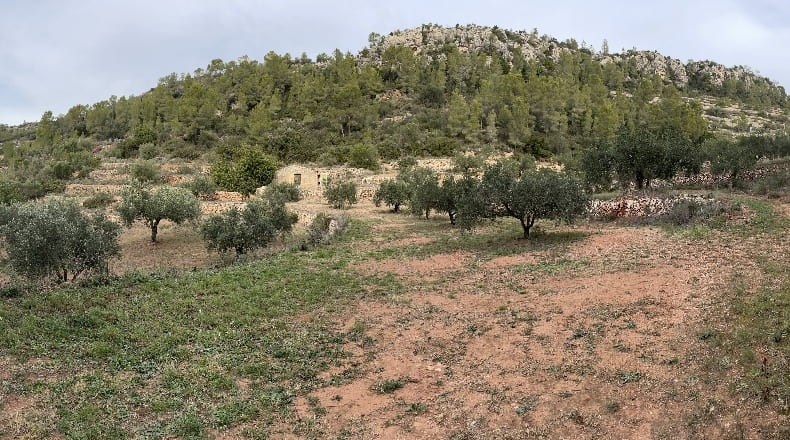 Tarragona - Benifallet - 40000m2
