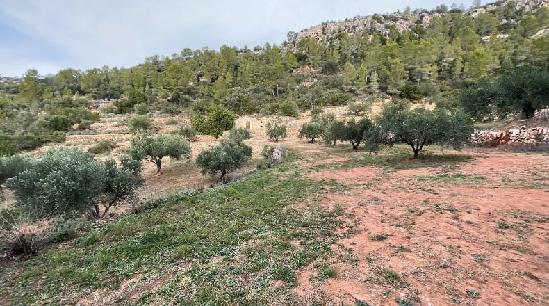 Tarragona - Benifallet - 40000m2