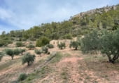 Finca rústica en venta en la Finca Ritxé, Benifallet, ref: TR81341 foto
