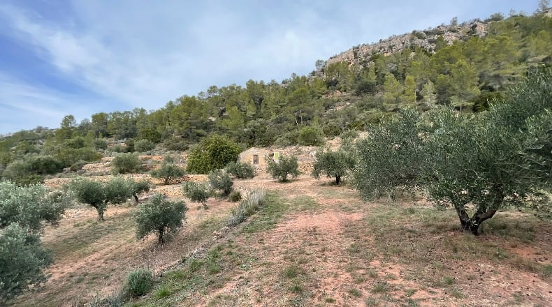 Tarragona - Benifallet - 40000m2