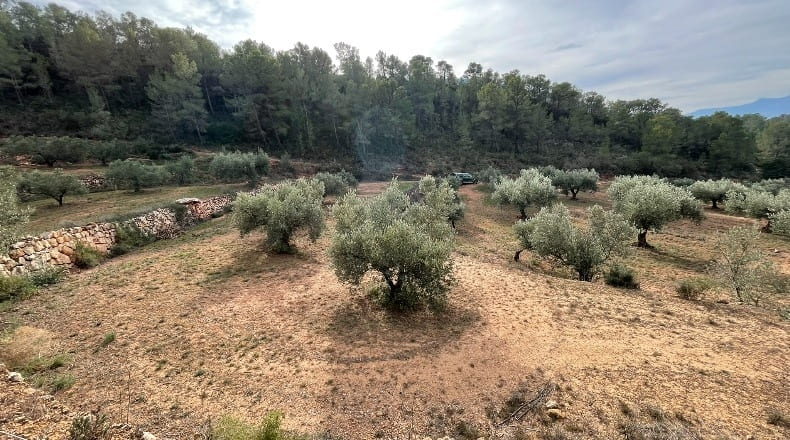 Tarragona - Benifallet - 40000m2