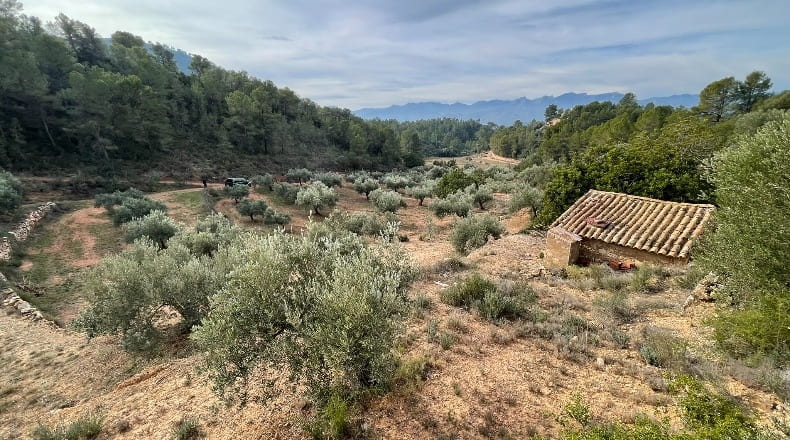 Tarragona - Benifallet - 40000m2