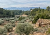 Finca rústica en venta en la Finca Ritxé, Benifallet, ref: TR81341 foto