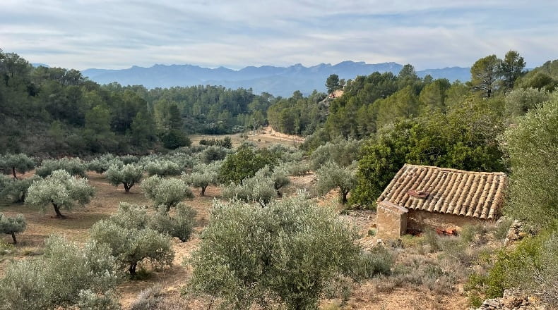 Tarragona - Benifallet - 40000m2