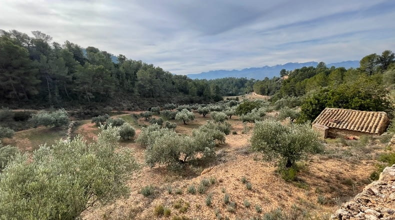 Tarragona - Benifallet - 40000m2