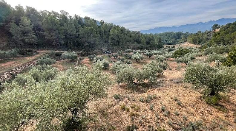 Tarragona - Benifallet - 40000m2