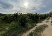 Загородный дом с участком на продажу в городе Benifallet Фото